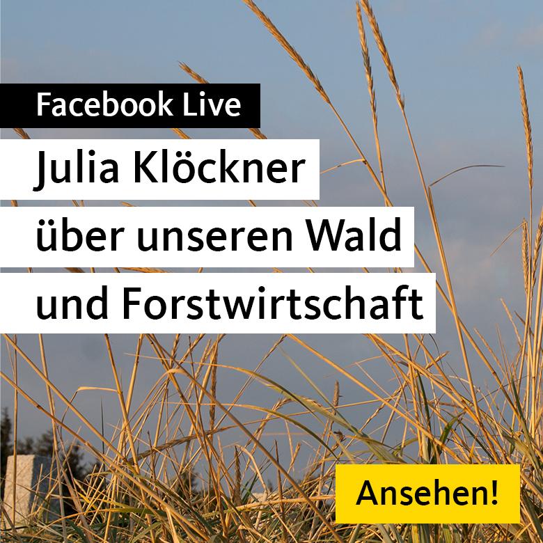 Facebook Live - Julia Klöckner über unseren Wald und Forstwirtschaft